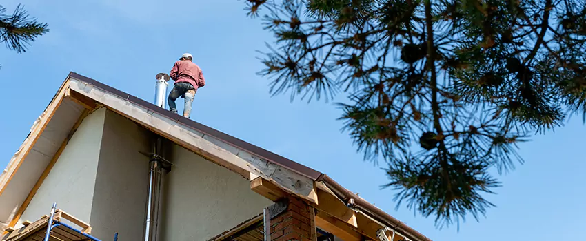 Birds Removal Contractors from Chimney in Scarsdale, NY